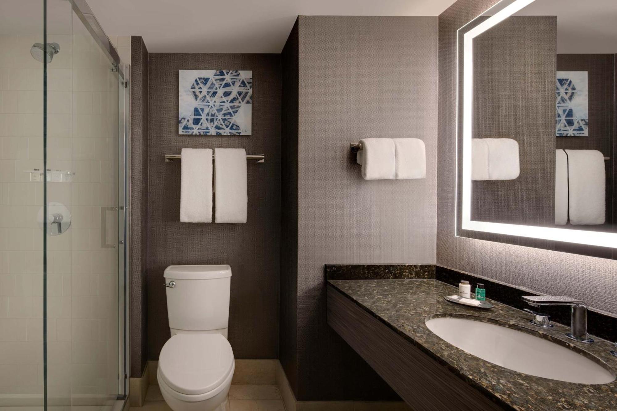 Sheraton Downtown 3*